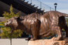 Bronze Tiger Sculpture