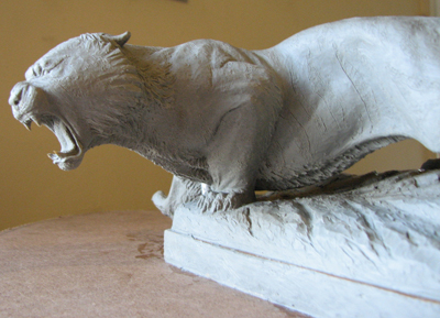Matthew Weir: Mini Tiger
